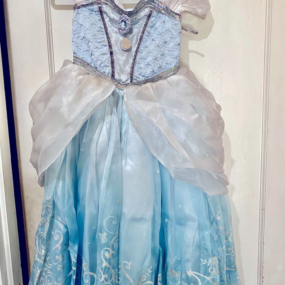 Cinderella Limited Edition Dress